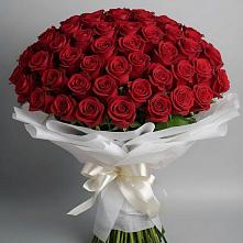 Букет 101 Красная роза Блэк Мэджик #REPLACE_PRED# Нежинка