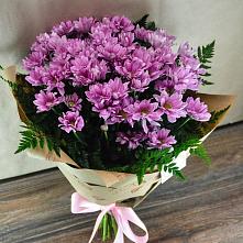 Букет цветов из:  Хризантемы #REPLACE_PRED# Нежинка