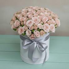 Цветочная композиция из Розы в шляпной коробке #REPLACE_PRED# Нежинка