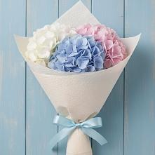 Букет цветов из:  Гортензия в Нежинка