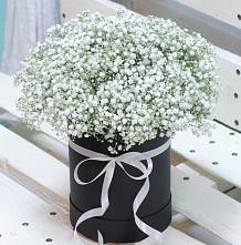 Цветочная композиция из Гипсофила в шляпной коробке #REPLACE_PRED# Нежинка