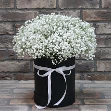 Цветочная композиция из Гипсофила в шляпной коробке в Нежинка