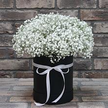 Цветочная композиция из Гипсофила в шляпной коробке в Нежинка