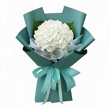 Букет цветов из:  Гортензия в Нежинка
